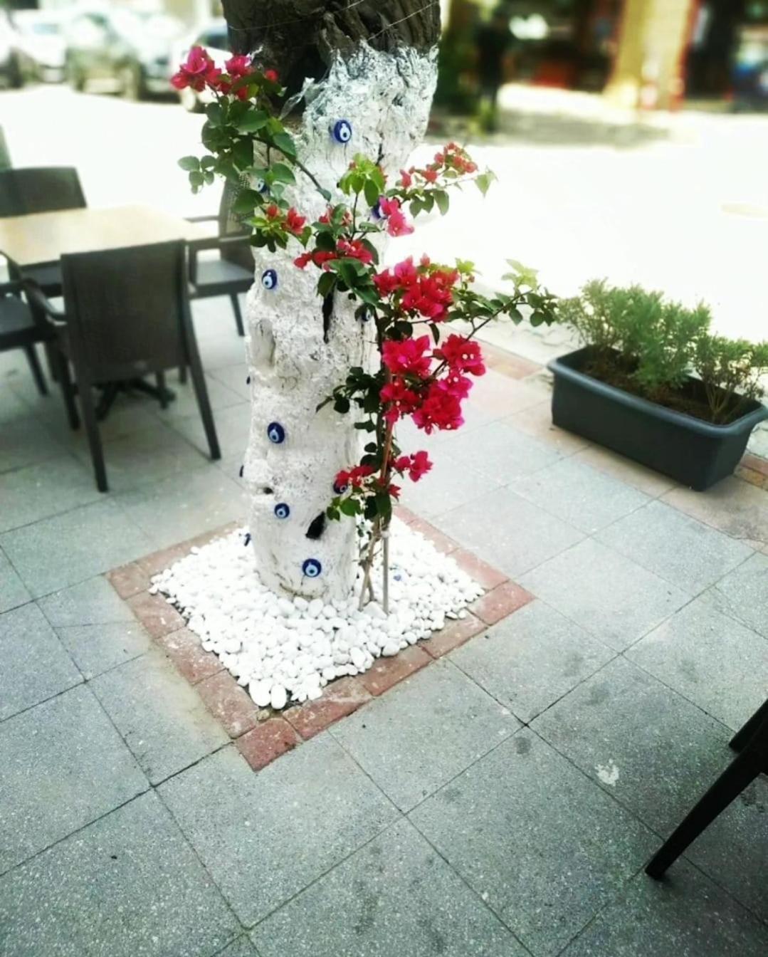 Punta Vista Hotel İzmir Extérieur photo